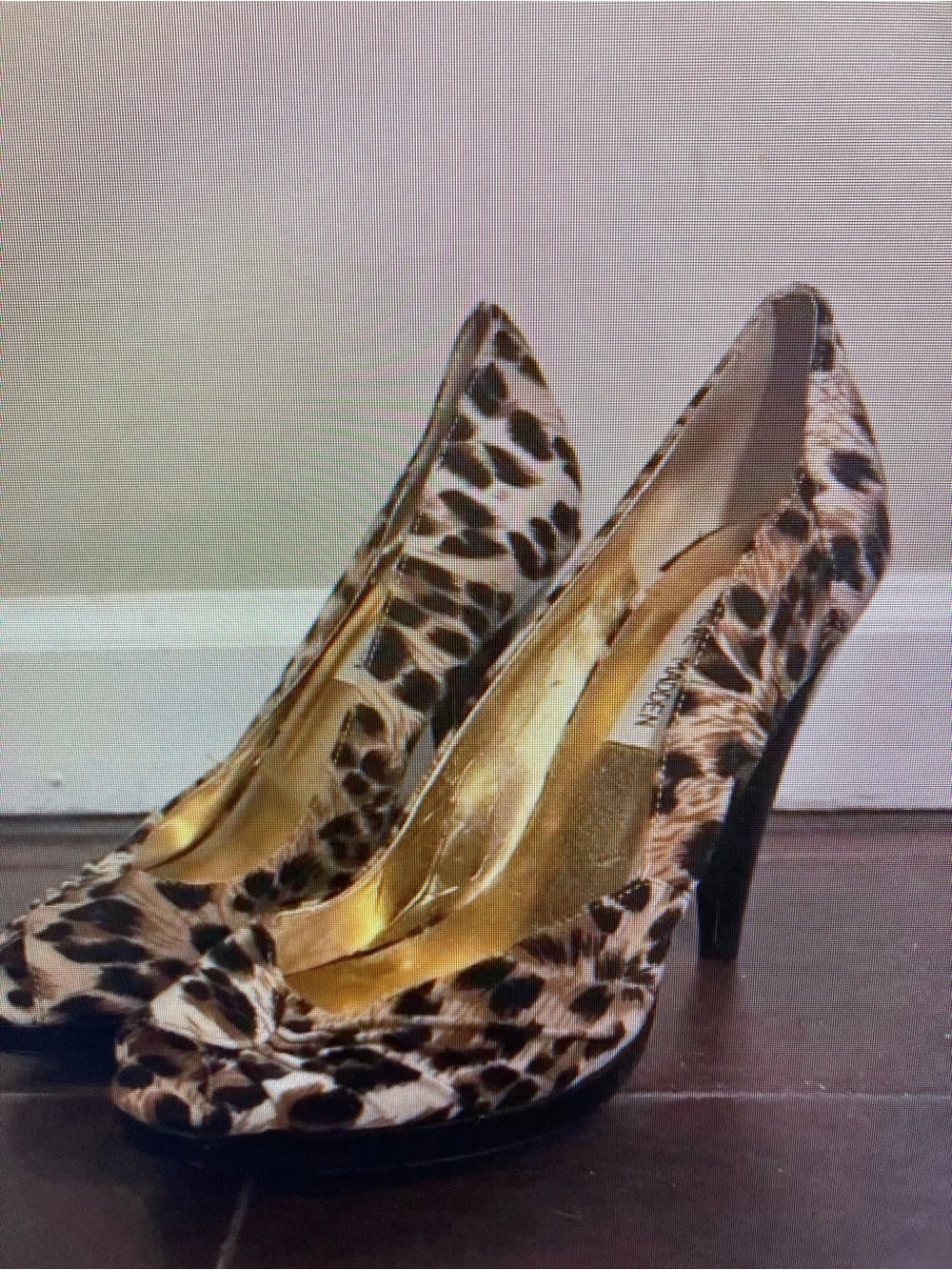 Leopard Print High Heel Pumps - Women